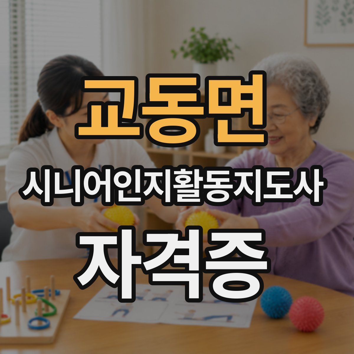 교동면 시니어인지활동지도사 자격증