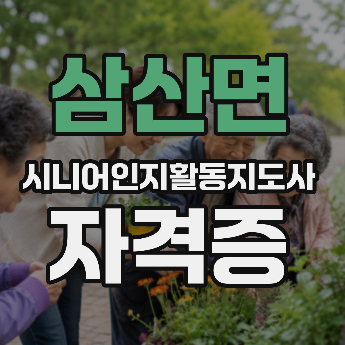 삼산면 시니어인지활동지도사 자격증
