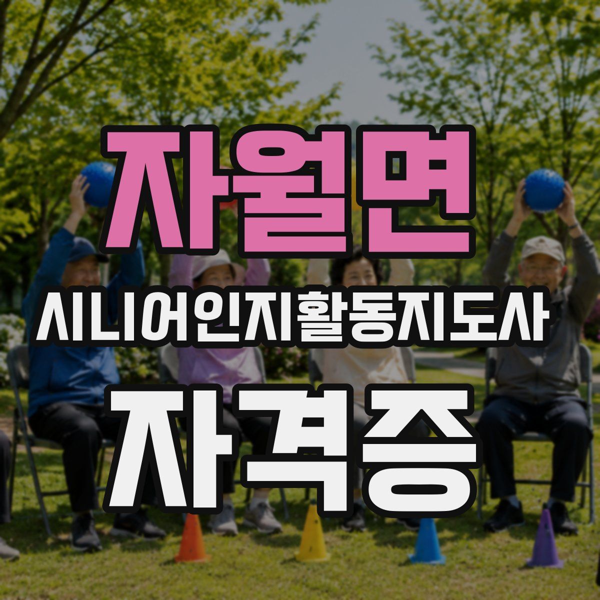 자월면 시니어인지활동지도사 자격증