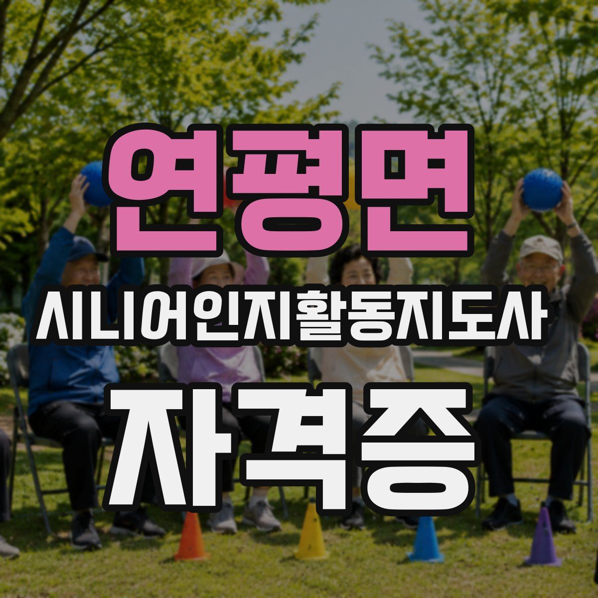 연평면 시니어인지활동지도사 자격증