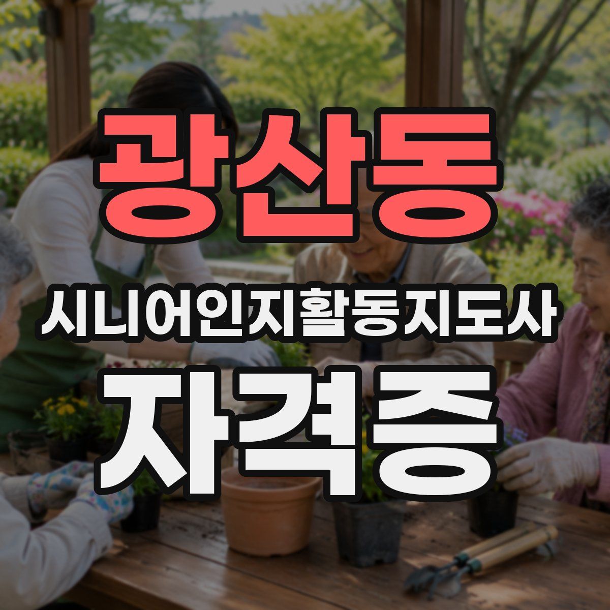 광산동 시니어인지활동지도사 자격증