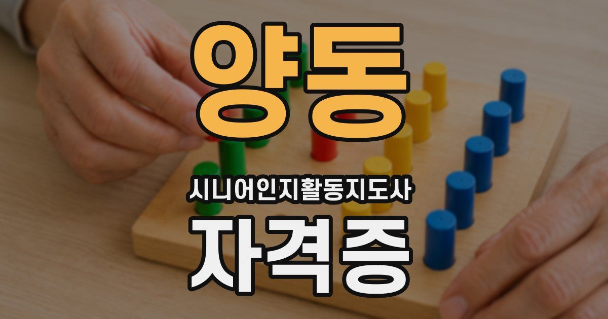 양동 시니어인지활동지도사 자격증