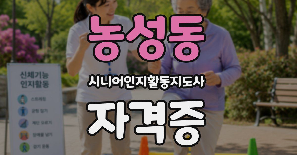 농성동 시니어인지활동지도사 자격증