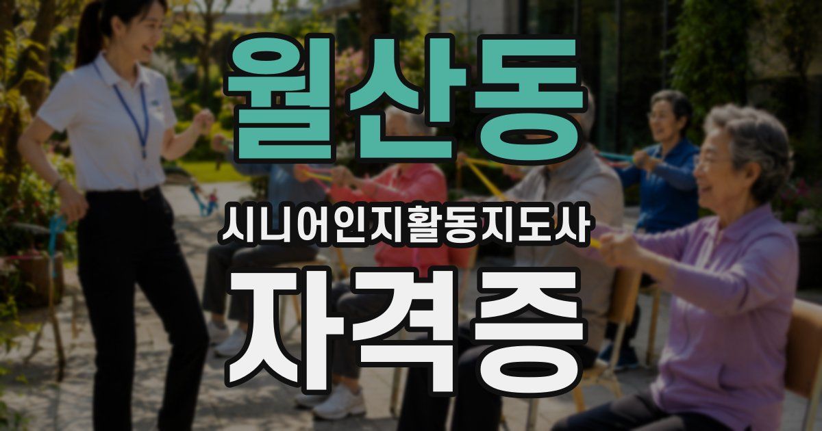 월산동 시니어인지활동지도사 자격증