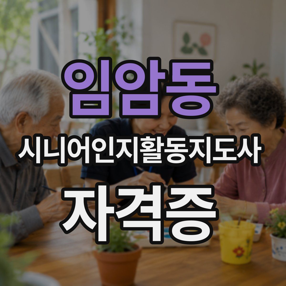 임암동 시니어인지활동지도사 자격증