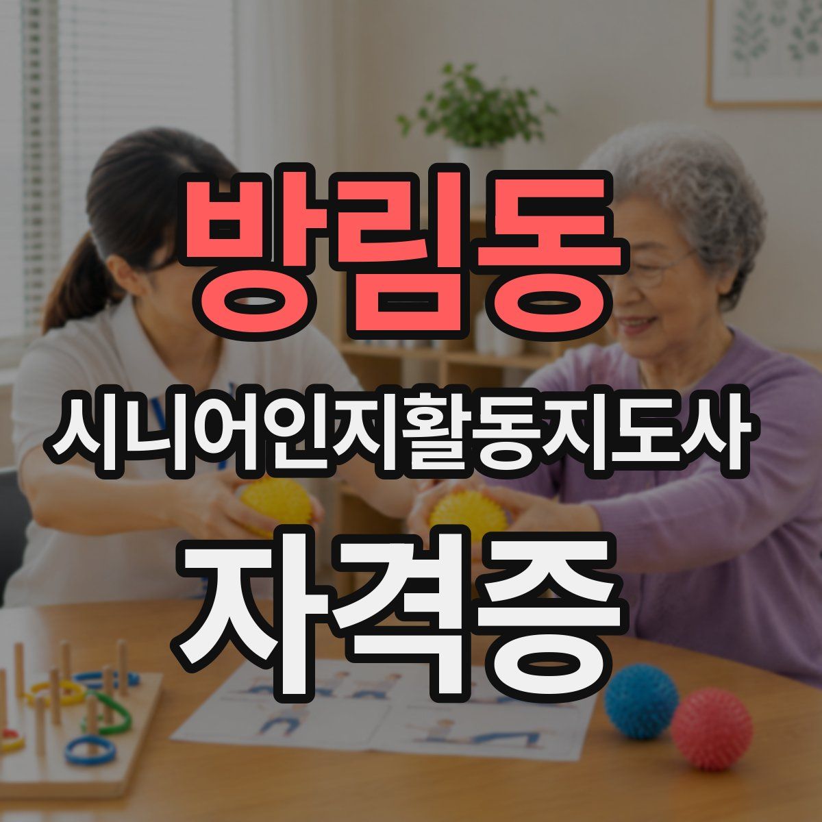 방림동 시니어인지활동지도사 자격증