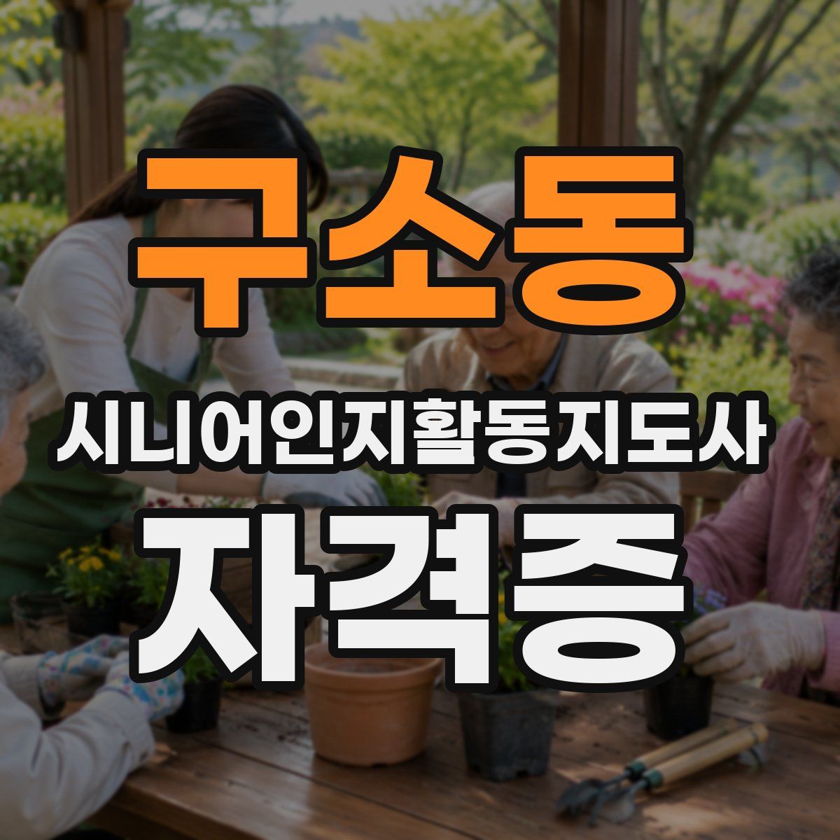 구소동 시니어인지활동지도사 자격증