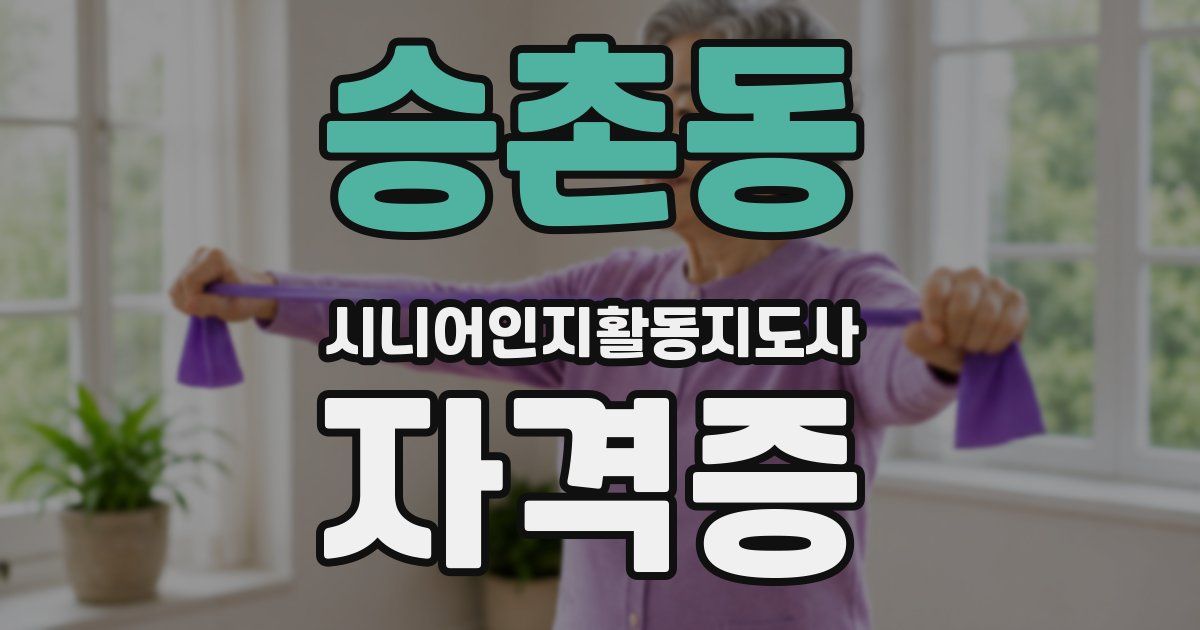 승촌동 시니어인지활동지도사 자격증