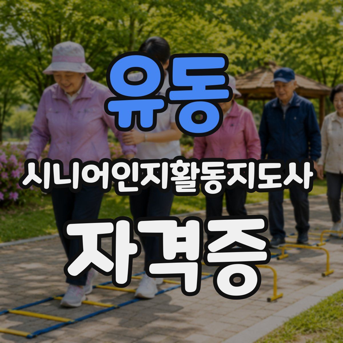 유동 시니어인지활동지도사 자격증