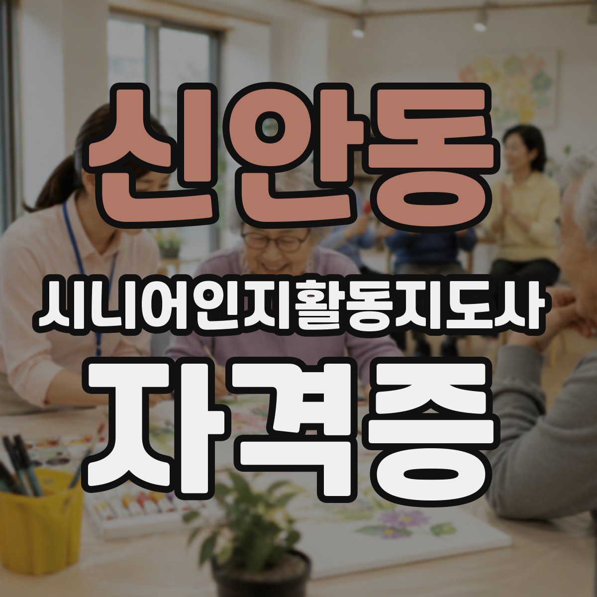 신안동 시니어인지활동지도사 자격증