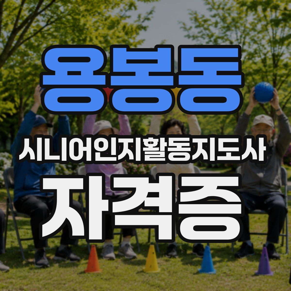 용봉동 시니어인지활동지도사 자격증