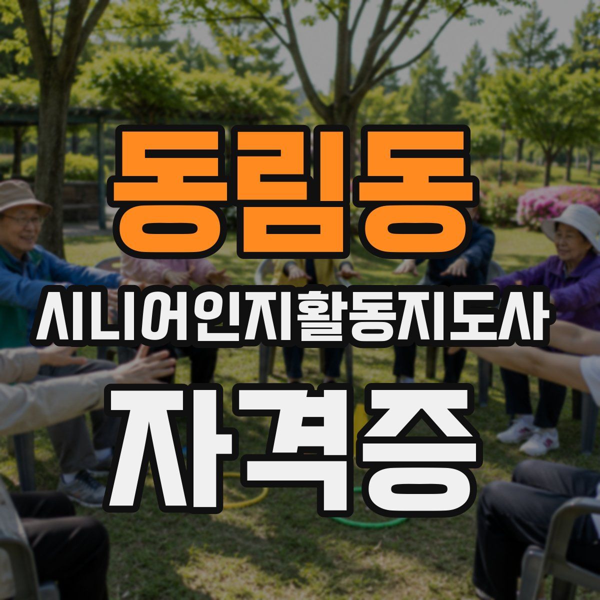 동림동 시니어인지활동지도사 자격증