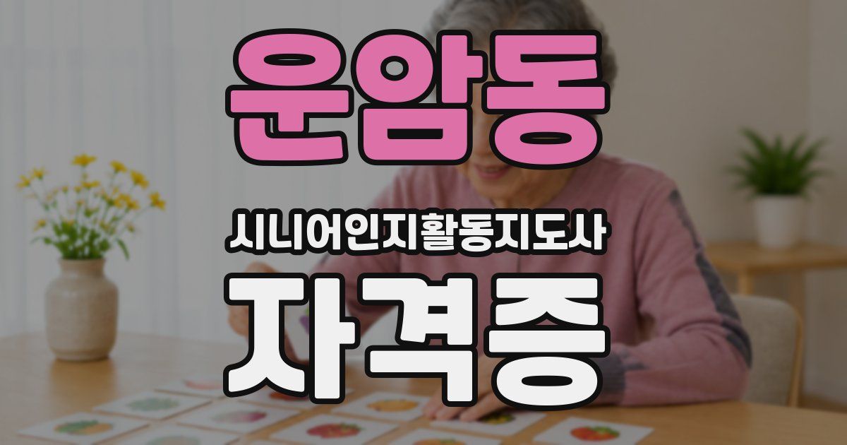 운암동 시니어인지활동지도사 자격증