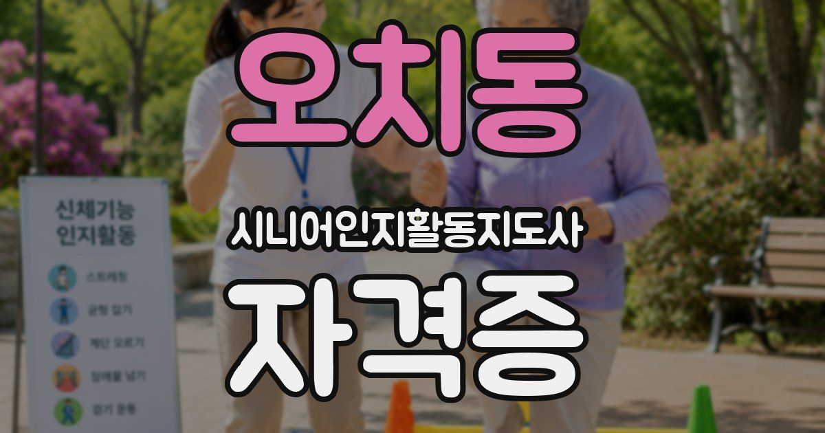 오치동 시니어인지활동지도사 자격증