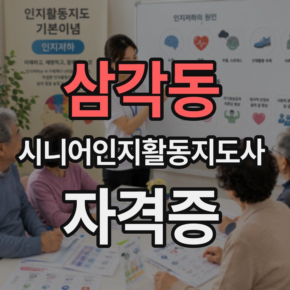 삼각동 시니어인지활동지도사 자격증 관련 제도와 기본 용어