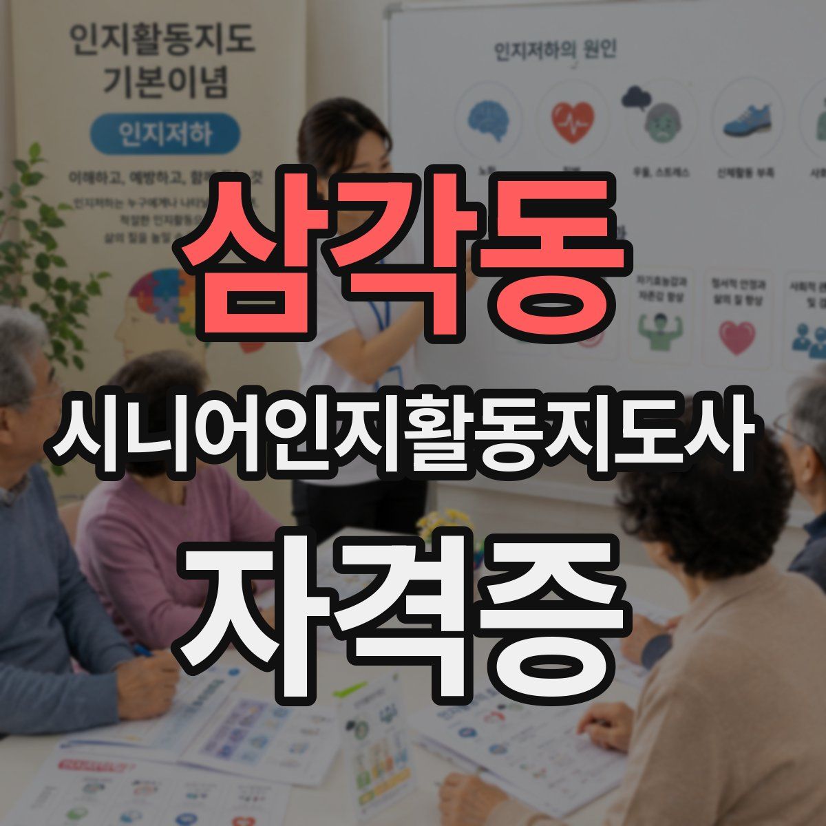 삼각동 시니어인지활동지도사 자격증