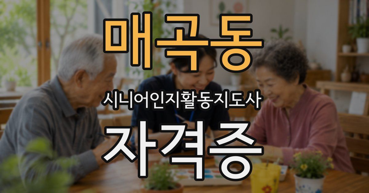 매곡동 시니어인지활동지도사 자격증