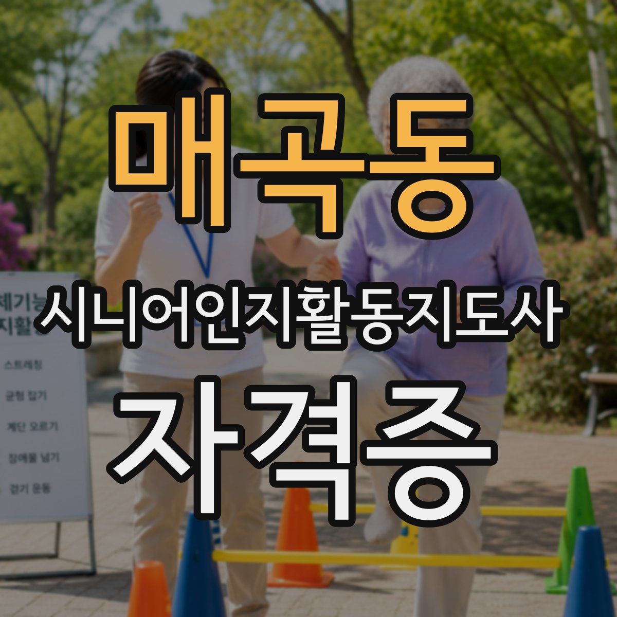 매곡동 시니어인지활동지도사 자격증