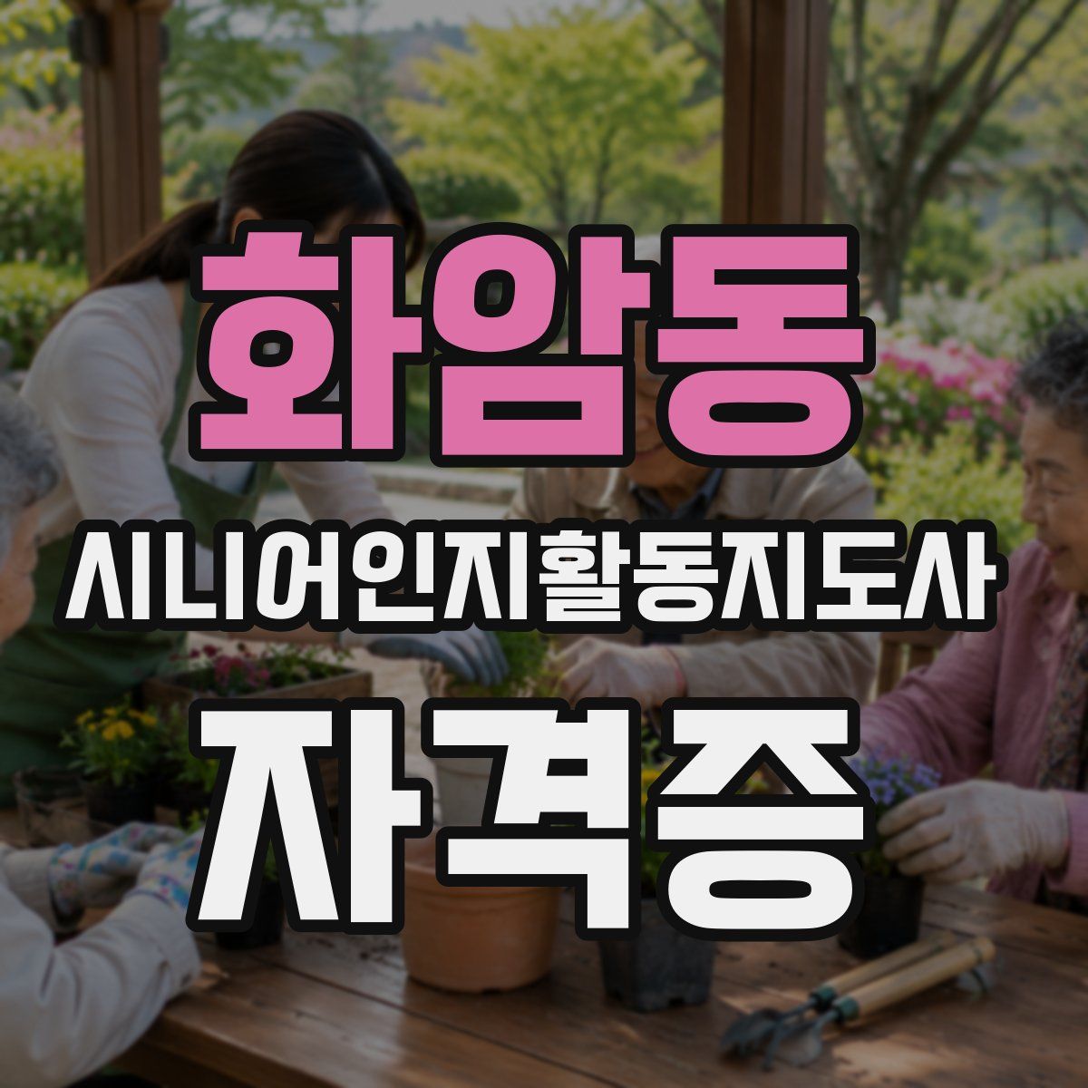 화암동 시니어인지활동지도사 자격증