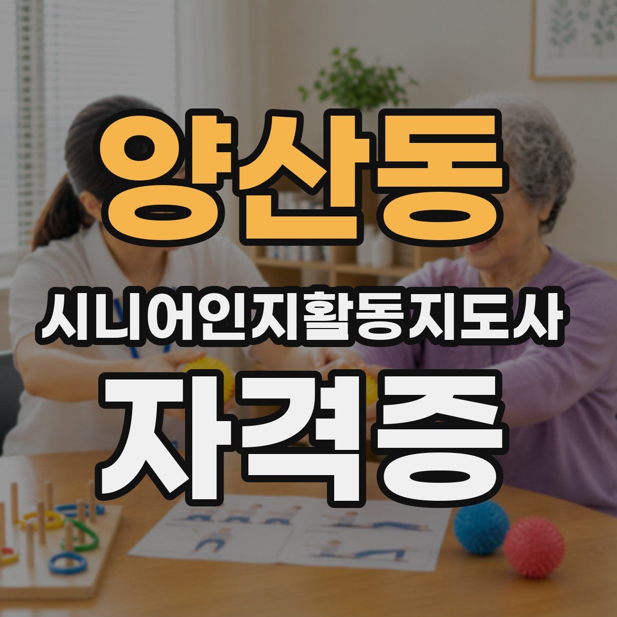 양산동 시니어인지활동지도사 자격증
