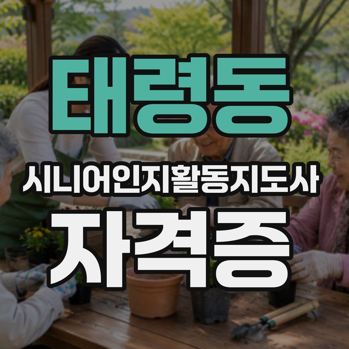 태령동 시니어인지활동지도사 자격증
