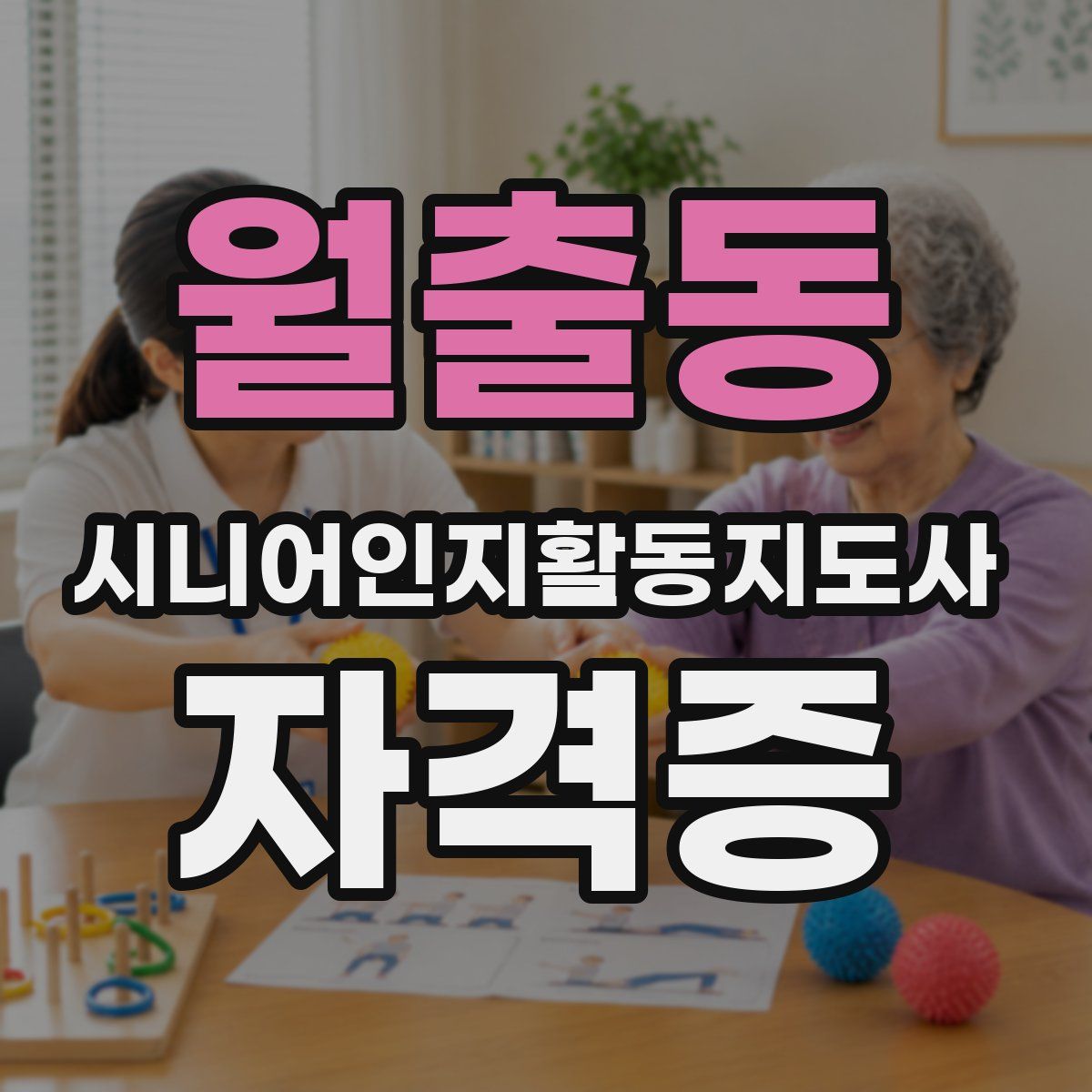 월출동 시니어인지활동지도사 자격증