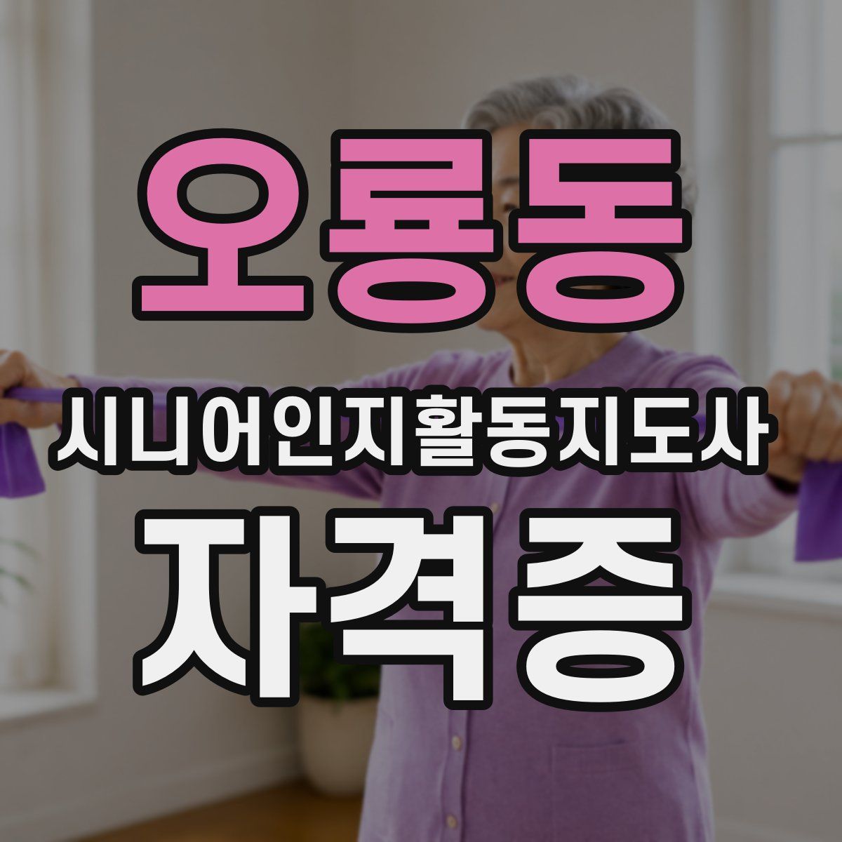 오룡동 시니어인지활동지도사 자격증