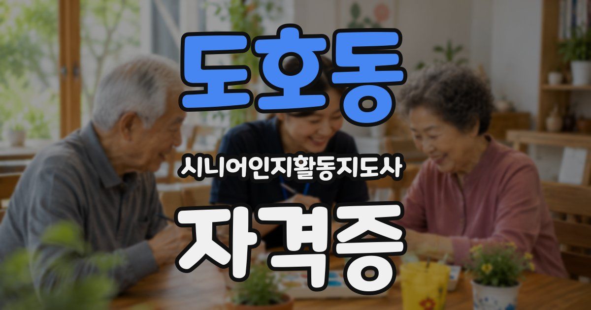 도호동 시니어인지활동지도사 자격증