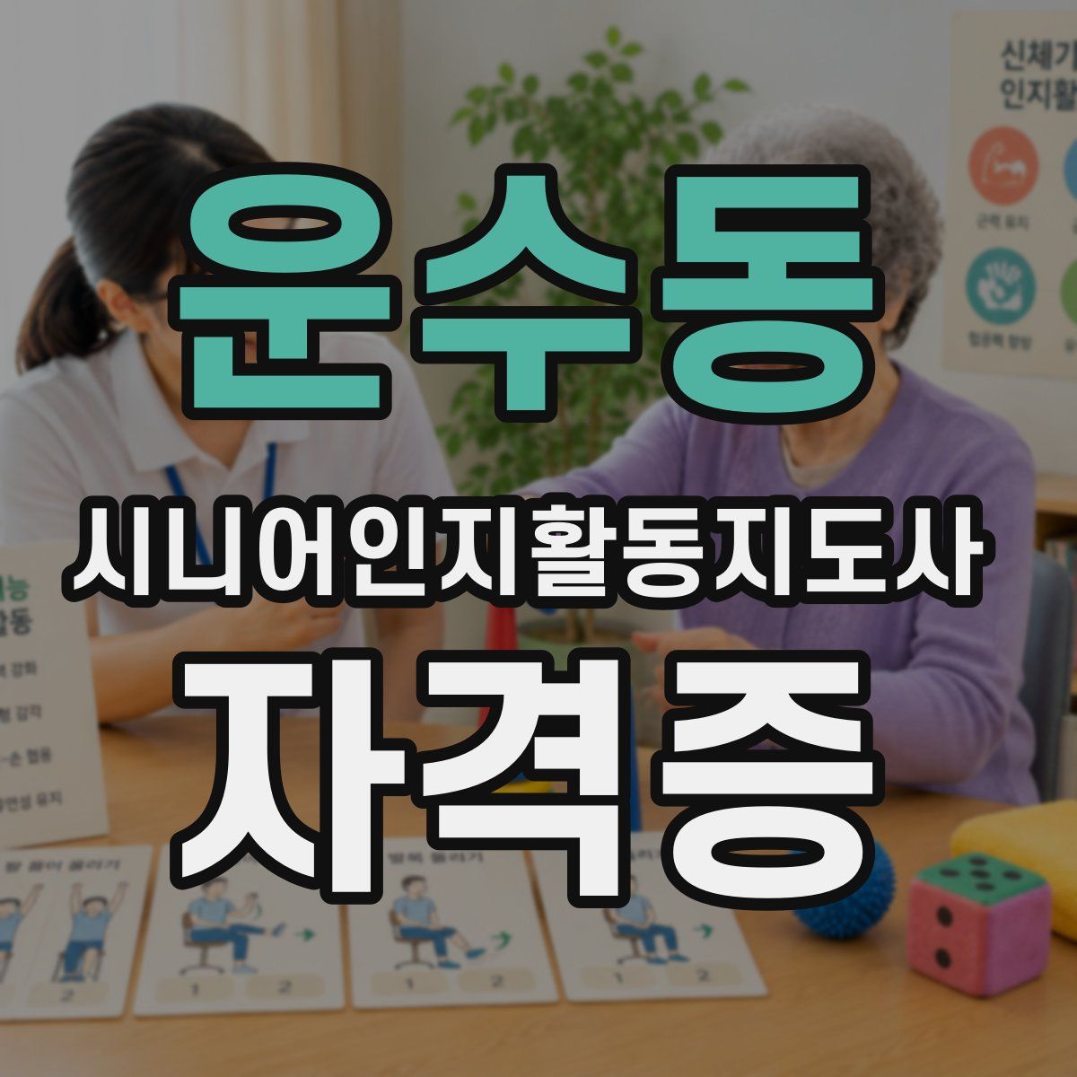 운수동 시니어인지활동지도사 자격증