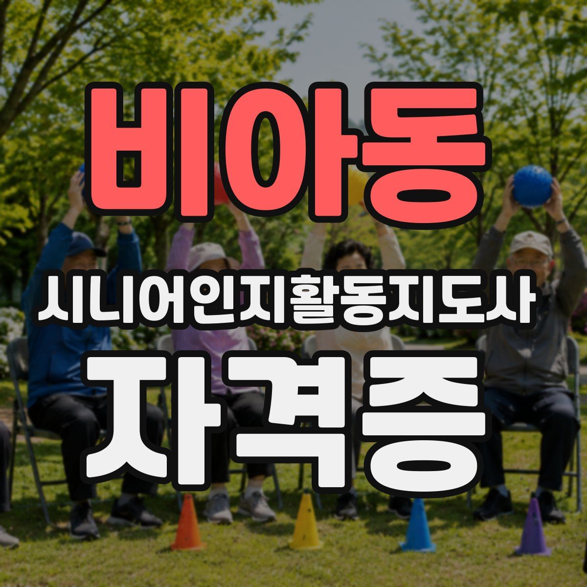 비아동 시니어인지활동지도사 자격증
