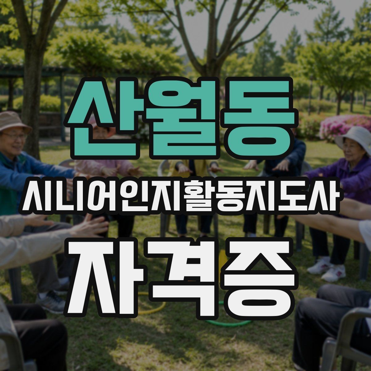 산월동 시니어인지활동지도사 자격증 준비를 시작하기 좋은 시기