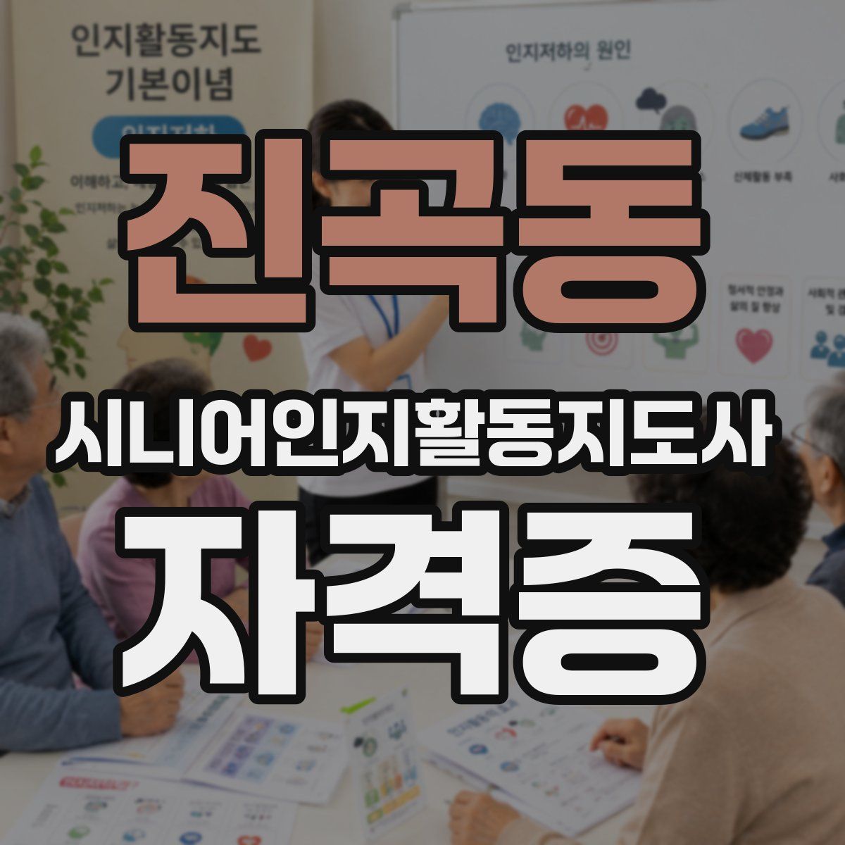 진곡동 시니어인지활동지도사 자격증