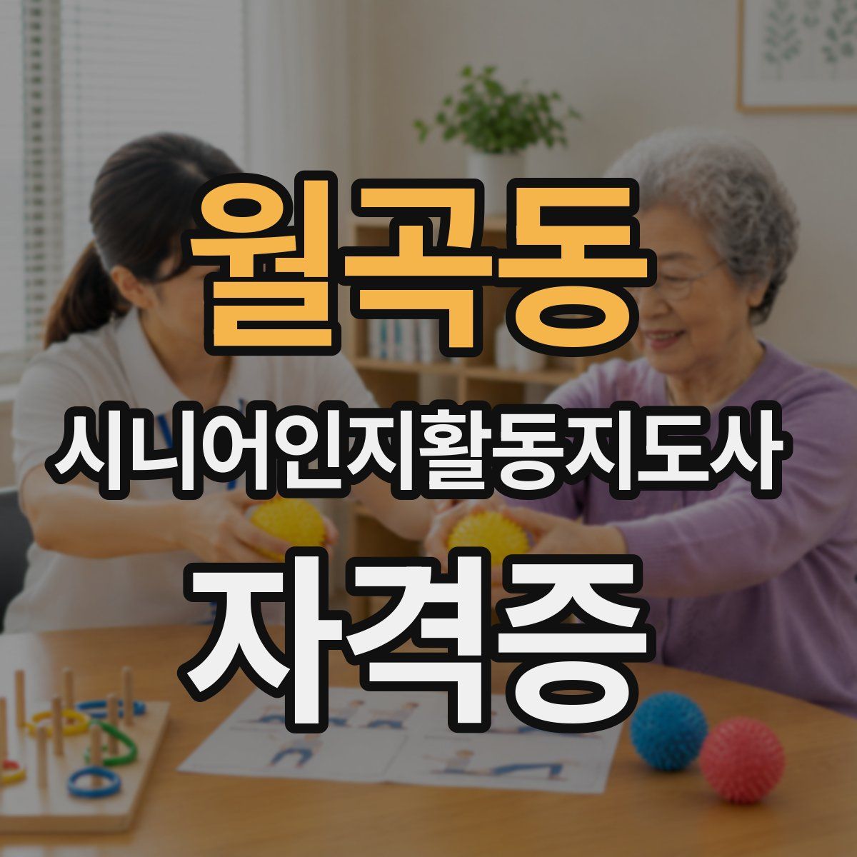 월곡동 시니어인지활동지도사 자격증