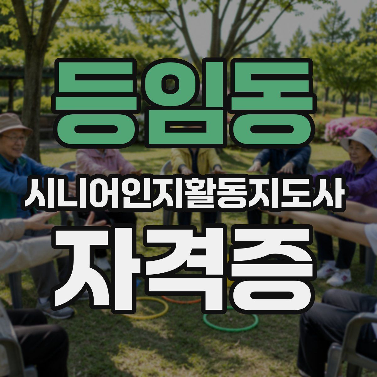 등임동 시니어인지활동지도사 자격증