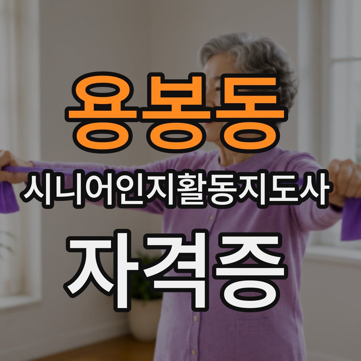 용봉동 시니어인지활동지도사 자격증