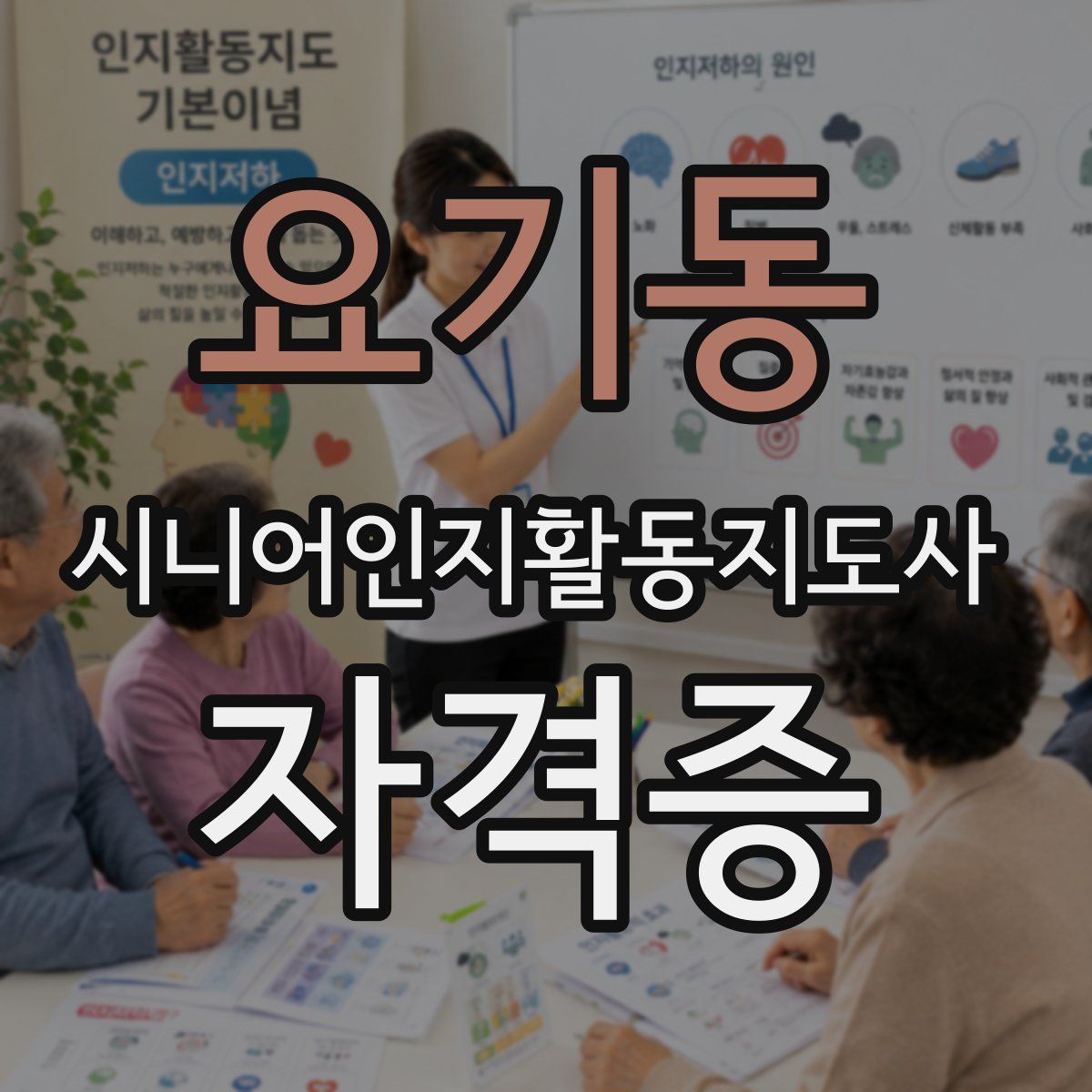 요기동 시니어인지활동지도사 자격증