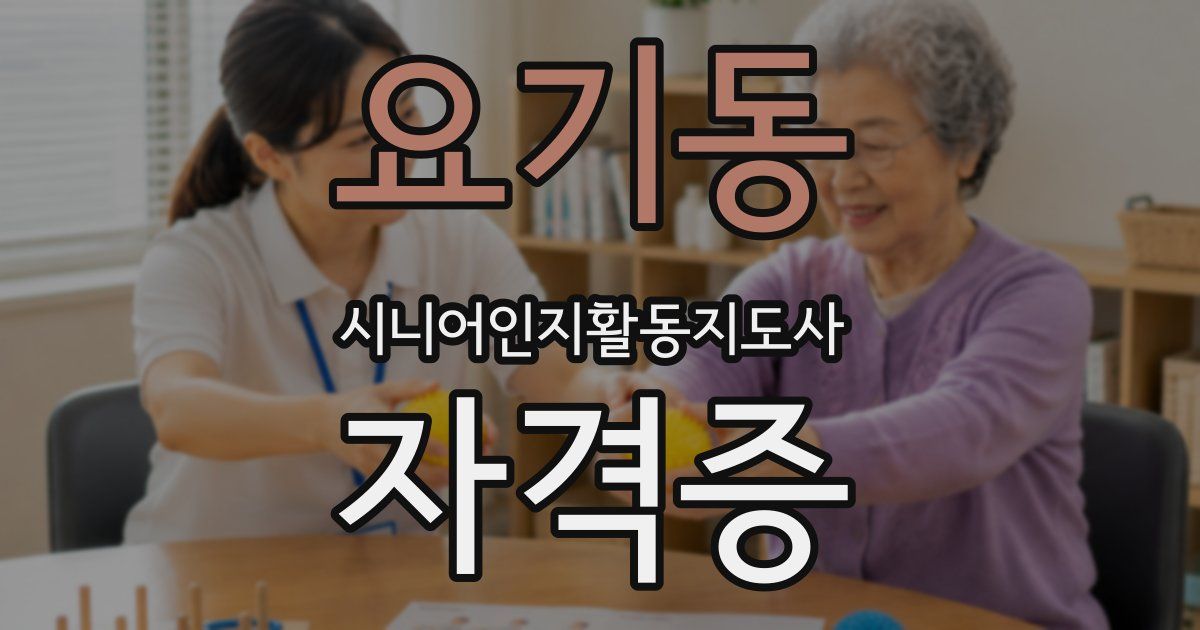 요기동 시니어인지활동지도사 자격증