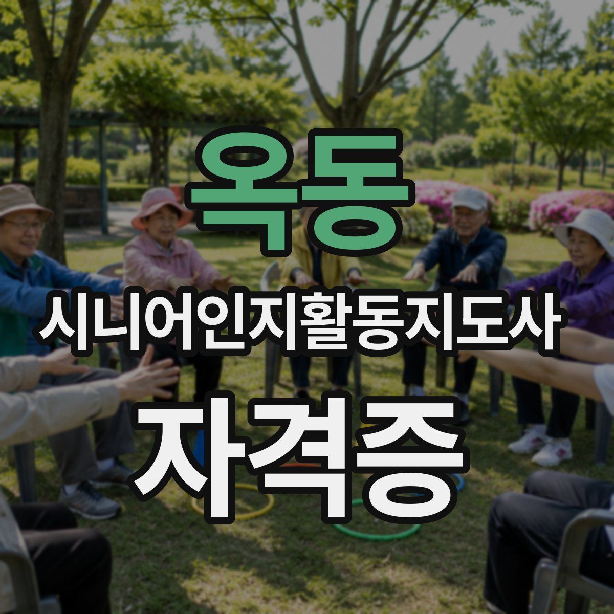 옥동 시니어인지활동지도사 자격증