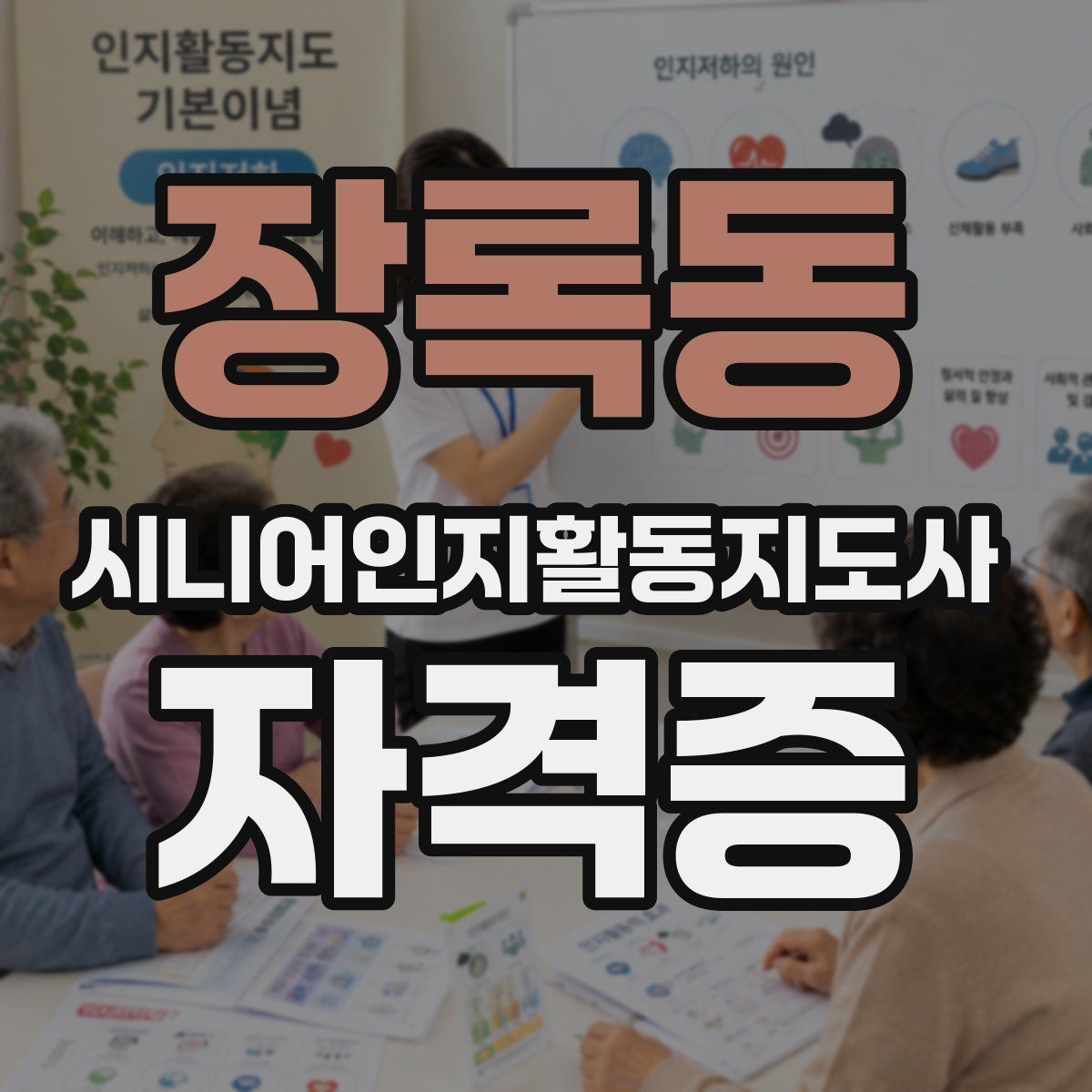 장록동 시니어인지활동지도사 자격증
