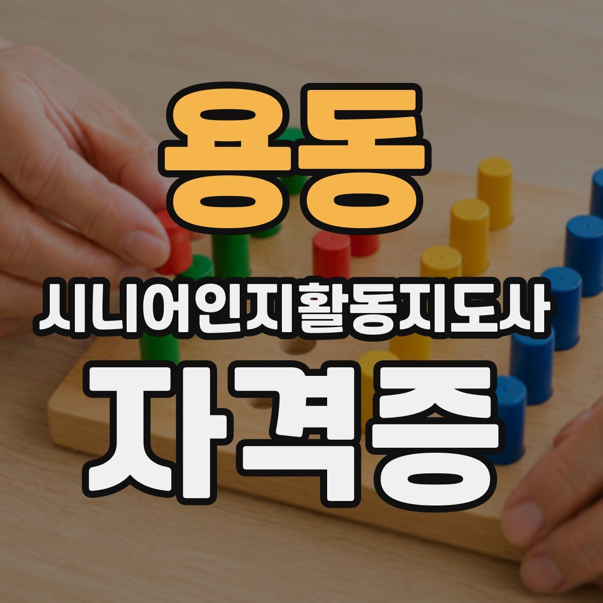 용동 시니어인지활동지도사 자격증