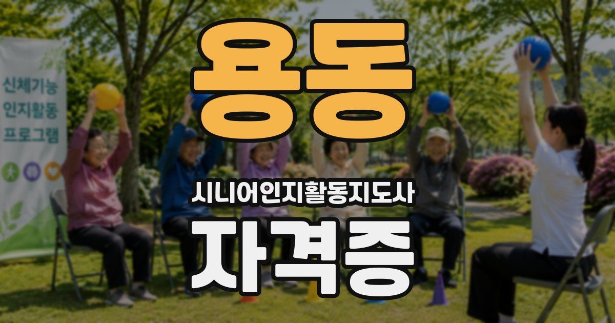 용동 시니어인지활동지도사 자격증