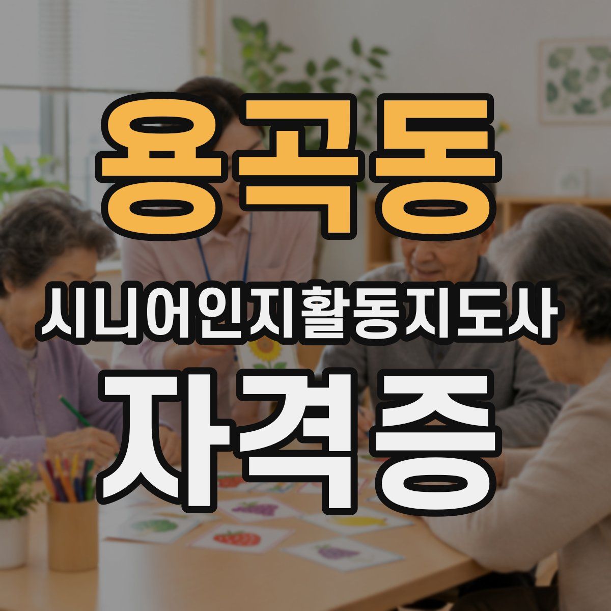 용곡동 시니어인지활동지도사 자격증