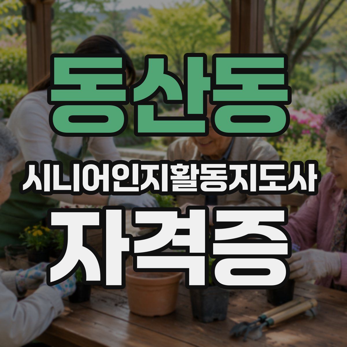 동산동 시니어인지활동지도사 자격증