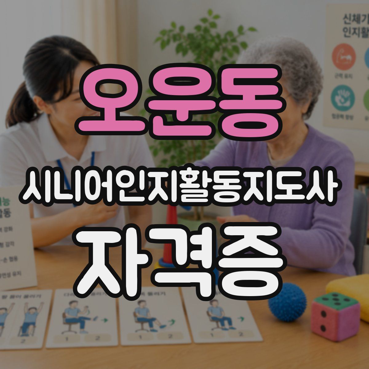 오운동 시니어인지활동지도사 자격증
