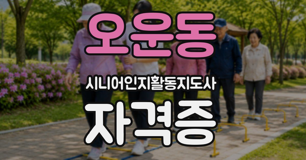 오운동 시니어인지활동지도사 자격증