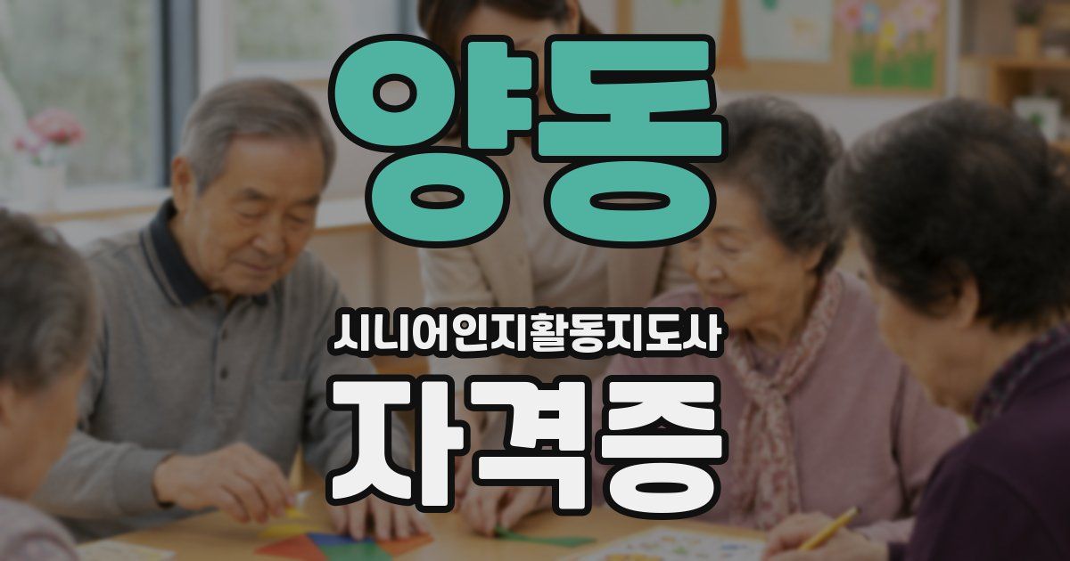 양동 시니어인지활동지도사 자격증
