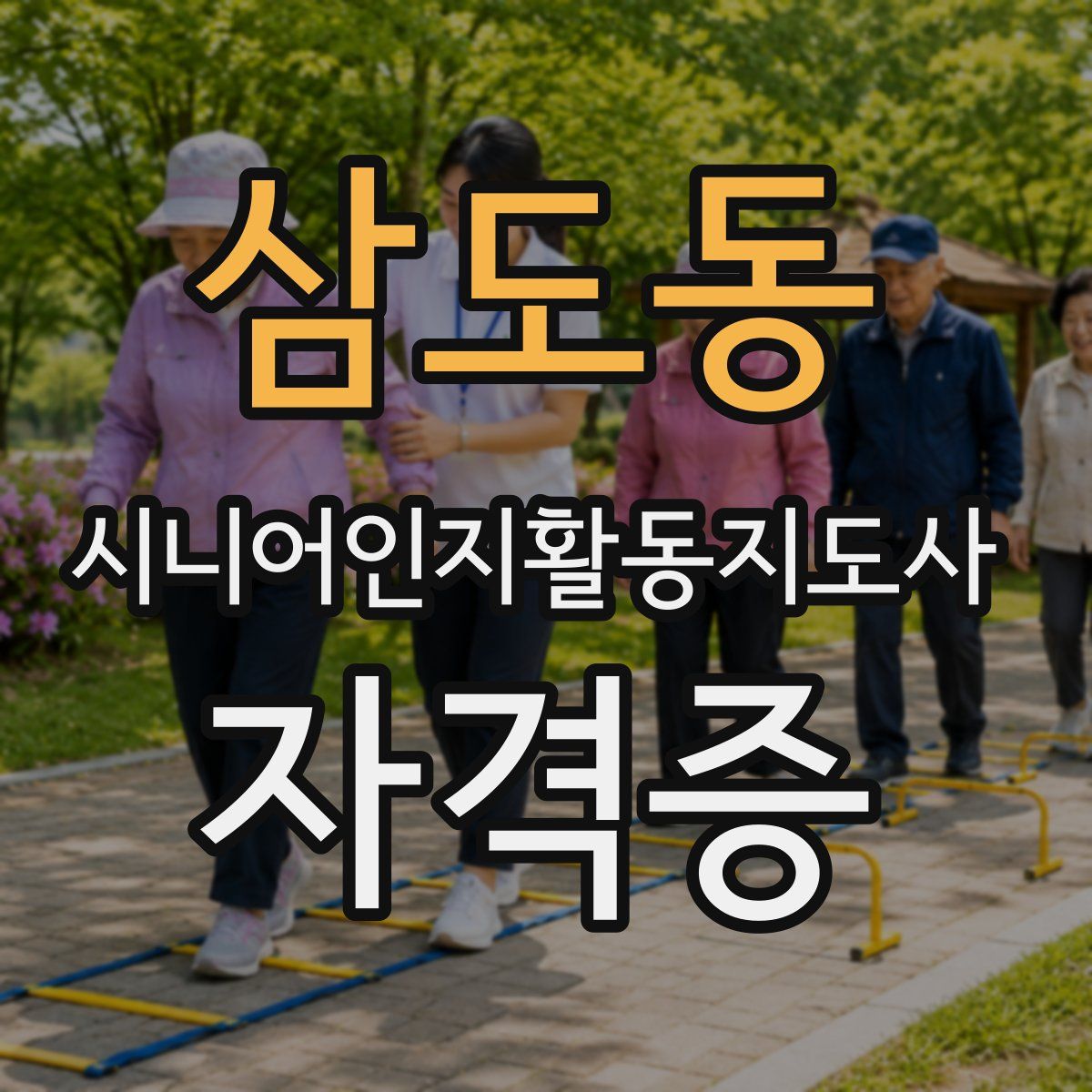 삼도동 시니어인지활동지도사 자격증