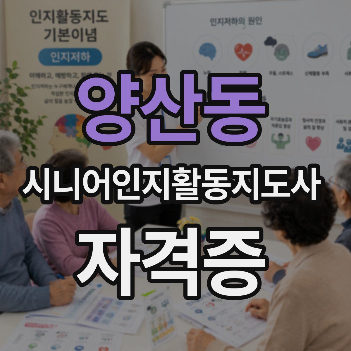 양산동 시니어인지활동지도사 자격증