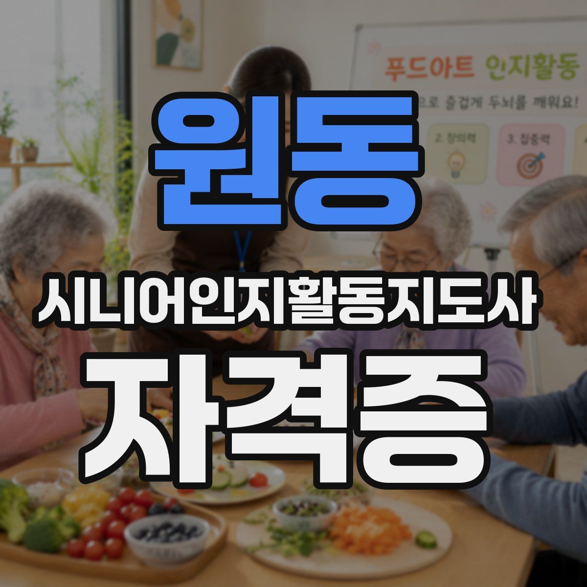 원동 시니어인지활동지도사 자격증