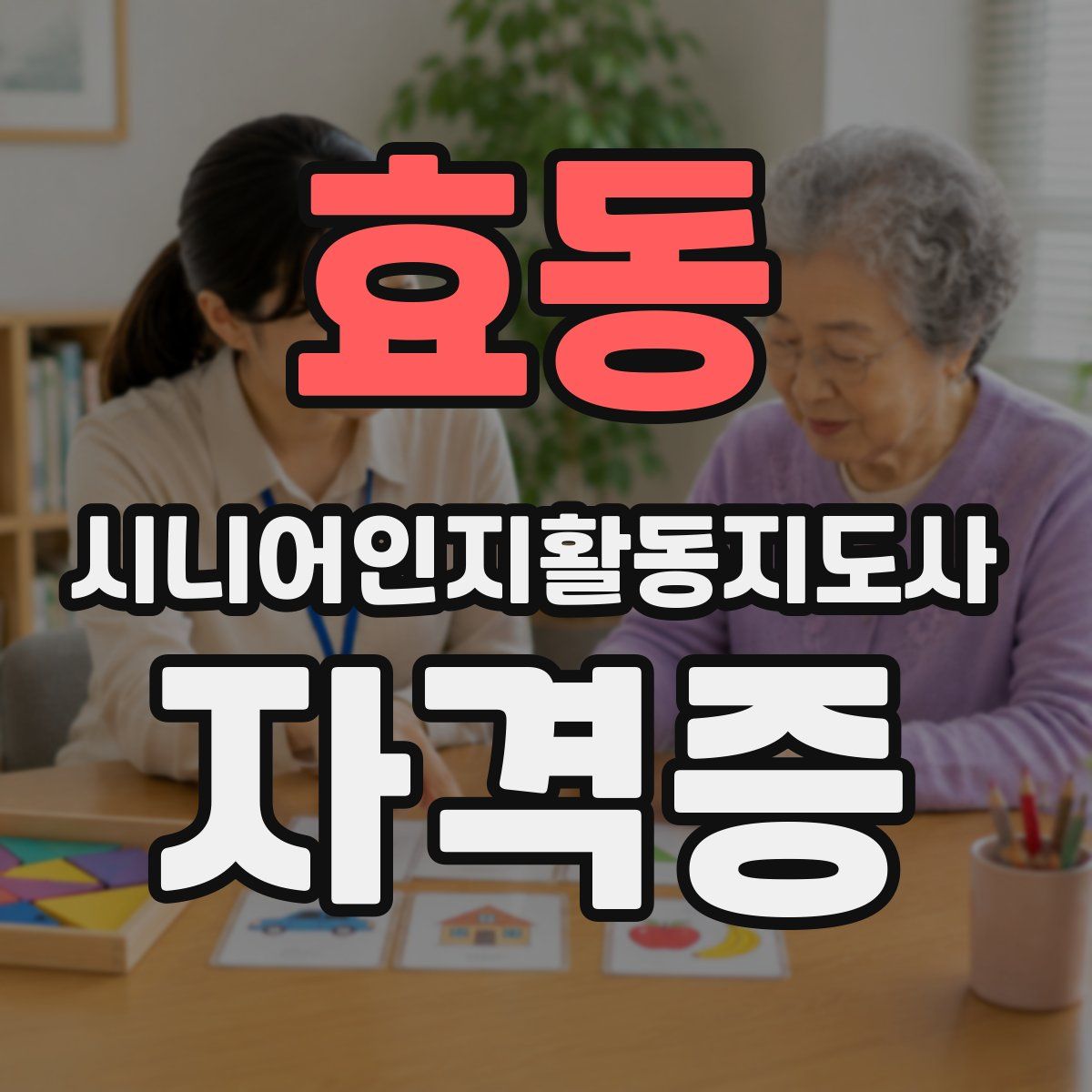 효동 시니어인지활동지도사 자격증